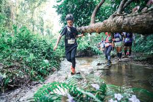 BIB: 
                            <button type="button" onclick="openModal(25464507)" class="btn btn-primary btn-sm float-right btn-popup" data-toggle="modal" data-target=".modal-high-quality">
                        <i class="fas fa-shopping-cart"></i> Add to Cart
                    </button>
                                            <button type="button" onclick="isThisMe(25464507, true)" class="btn btn-success btn-sm float-right btn-popup btn-isme hidden" data-toggle="tooltip" data-placement="bottom" title="นี่คือรูปของคุณใช่ไหม คลิกที่นี่เพื่อเอาเข้าอัลบั้ม">
                        <i class="fas fa-plus"></i> Add to album
                    </button>
                    <button type="button" onclick="isThisMe(25464507, false)" class="btn btn-warning btn-sm float-right btn-popup btn-isnotme hidden">
                        <i class="fas fa-ban"></i> Remove from album
                    </button>